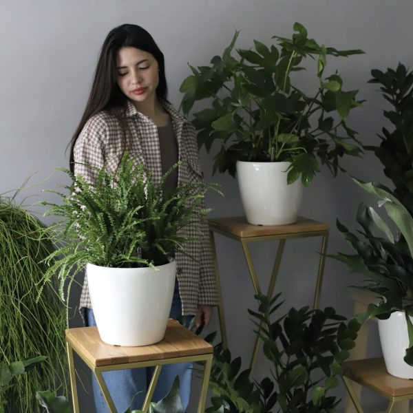 Winter Poinsettia & Holly Wreath